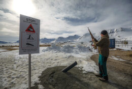 Spitsbergen_2025 (57/78)